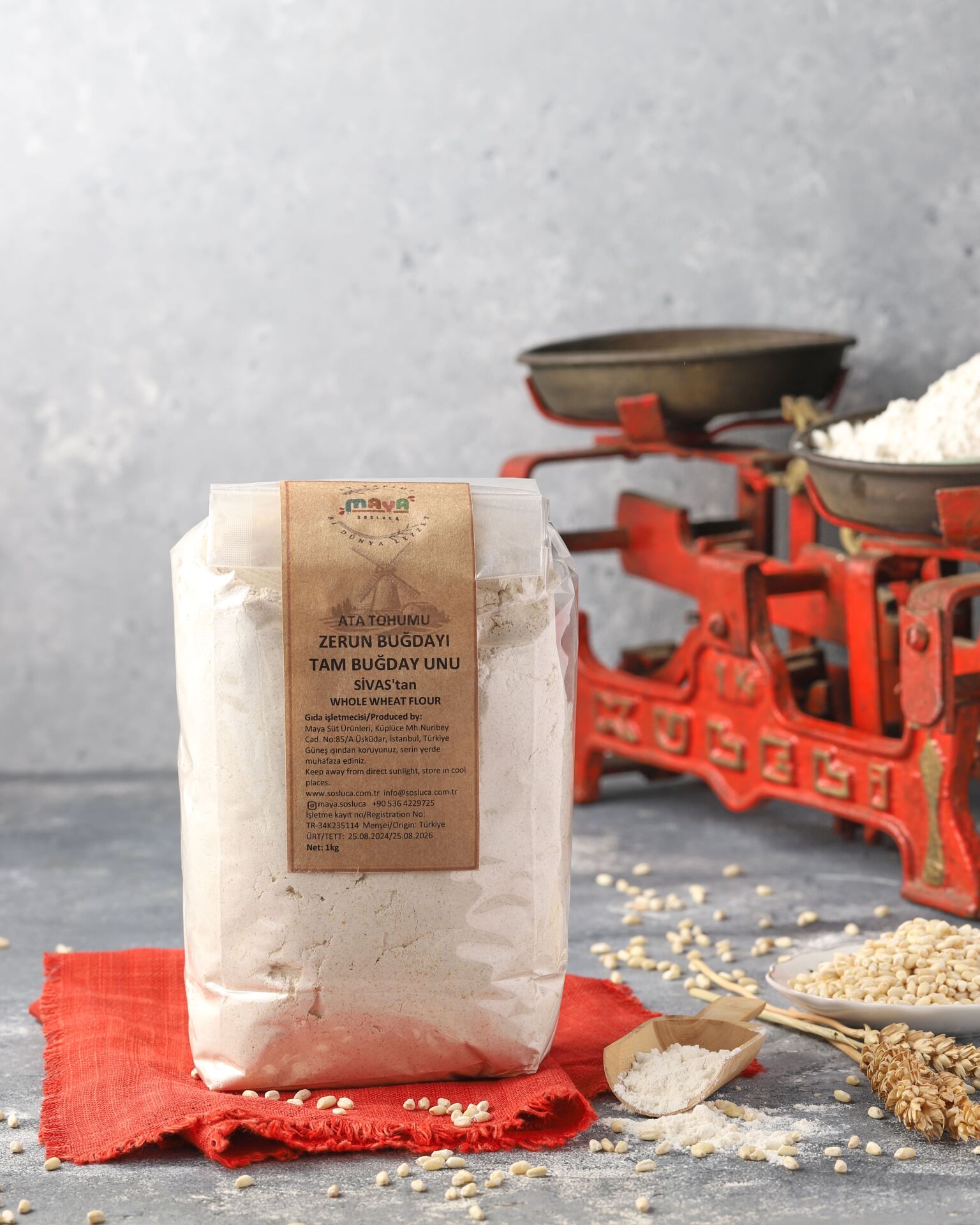 Zerun Unu (Ata Tohumu)